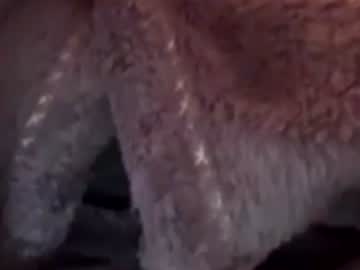 joey890595237 live sex cam