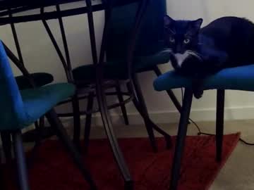 missmonatoyou live sex cam